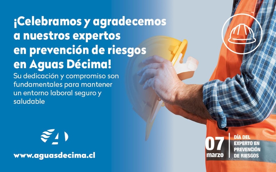 Celebrando a los Expertos en Prevención de Riesgos en Valdivia y la Región de Los Ríos